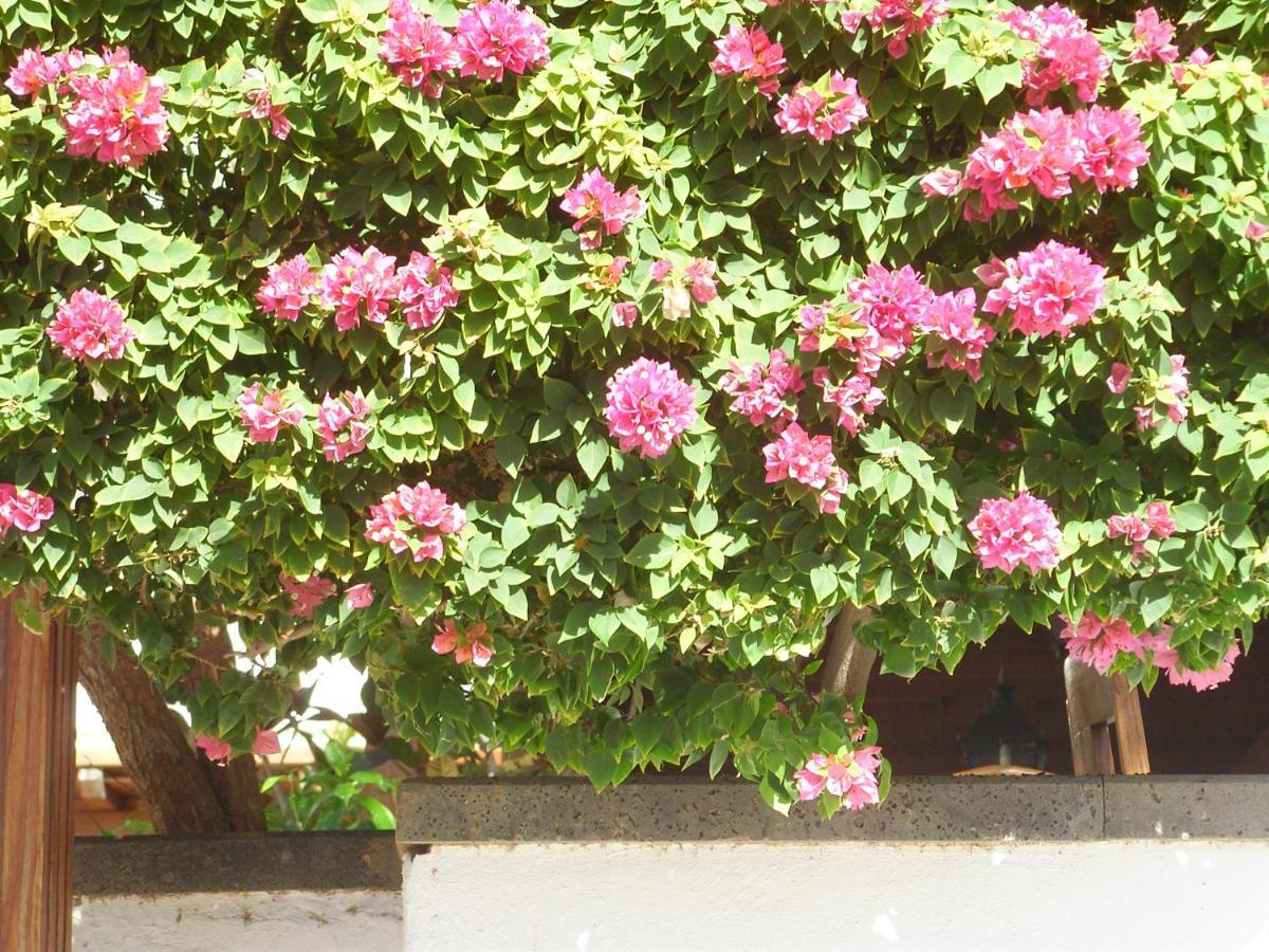 Casa La Tahonilla Διαμέρισμα Tías Εξωτερικό φωτογραφία