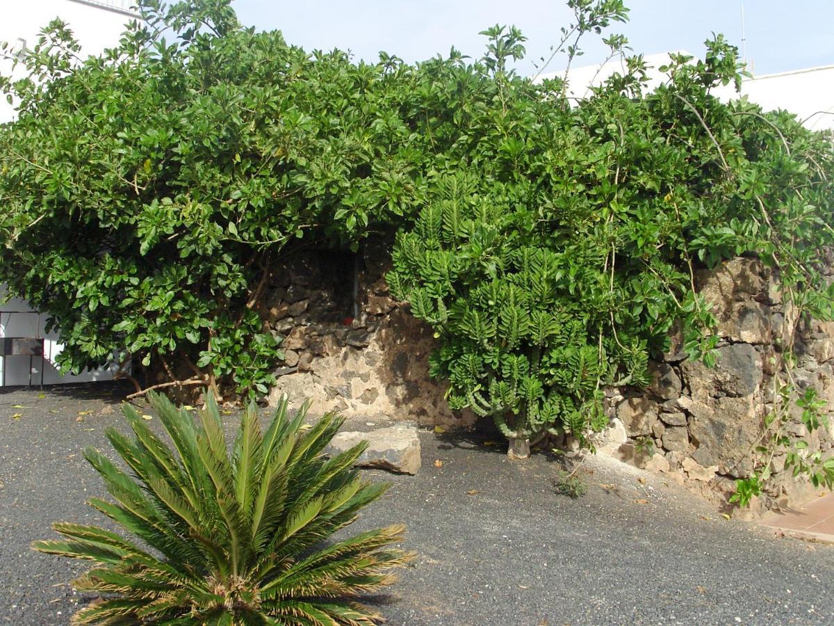 Casa La Tahonilla Διαμέρισμα Tías Εξωτερικό φωτογραφία